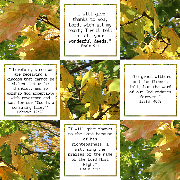 Verses About Thankfulness - Free Printable Cards - Underbart skapad